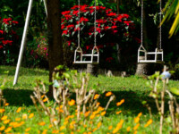 Jardim