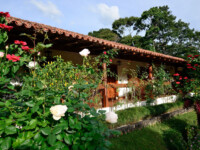 Varanda - Apartamento standard